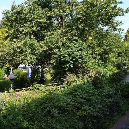 4 Sterne Ferienwohnungen Lavendel Brueggen 布吕根 外观 照片