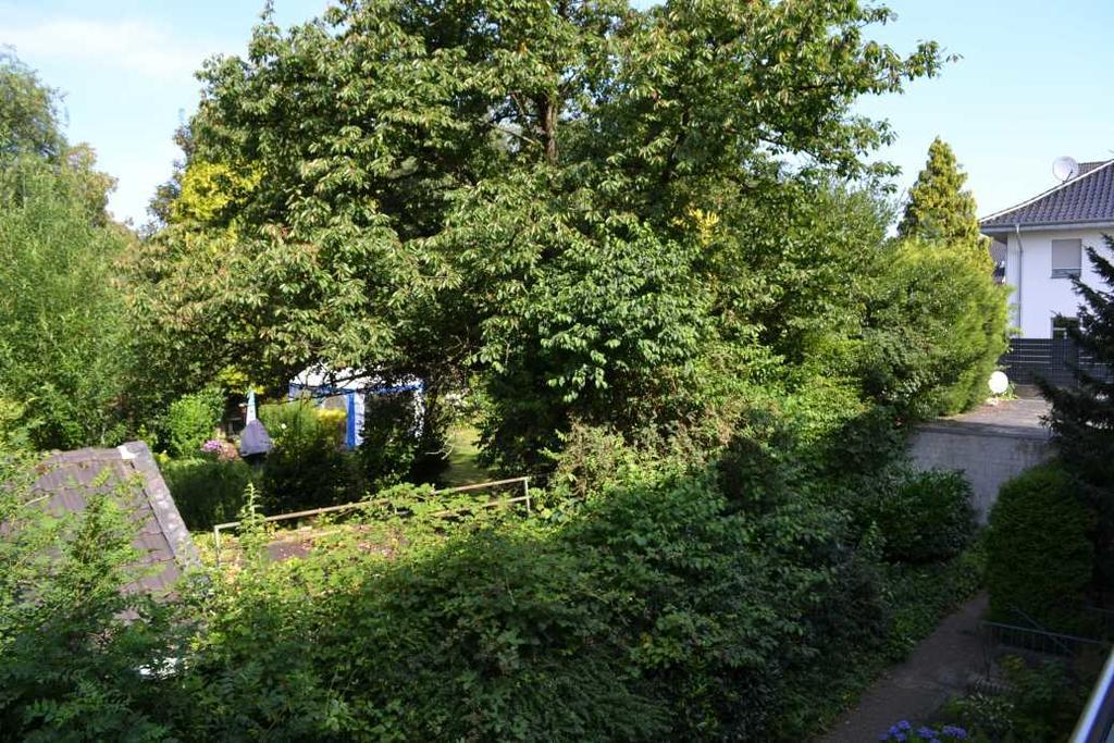 4 Sterne Ferienwohnungen Lavendel Brueggen 布吕根 外观 照片